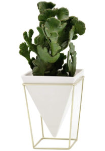 Purzest planter from Amazon