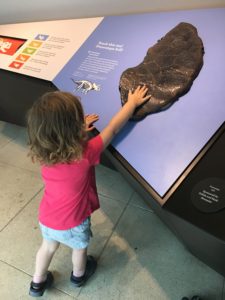 Hands on fun at the Natural History Museum